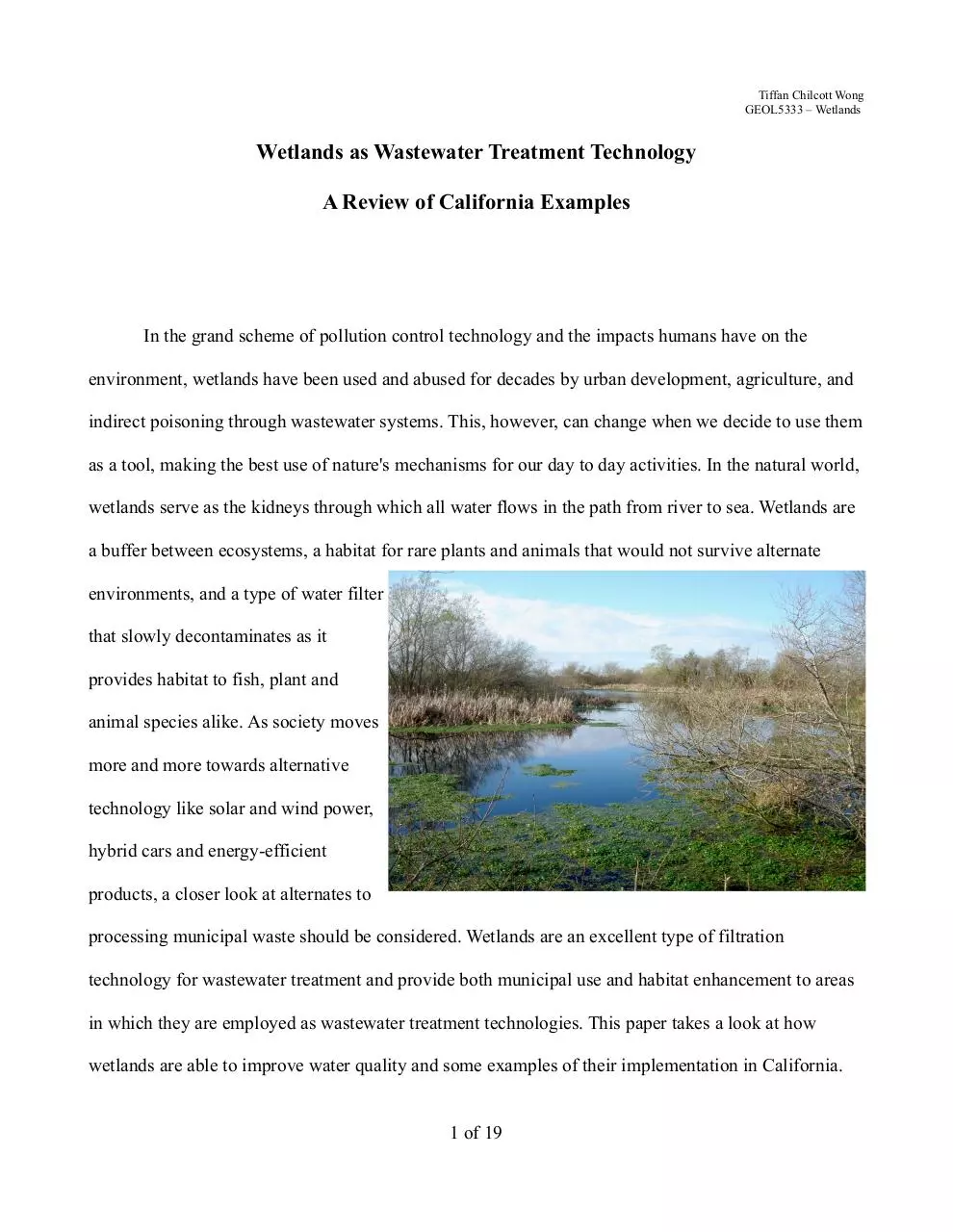 Page 1 of 19, Wetlands WastewaterTreatment