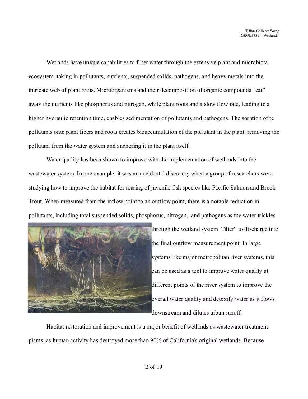 Page 2 of 19, Wetlands WastewaterTreatment