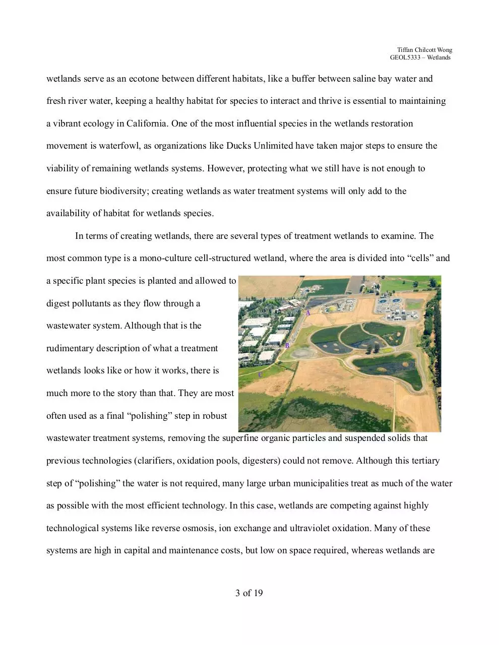 Page 3 of 19, Wetlands WastewaterTreatment