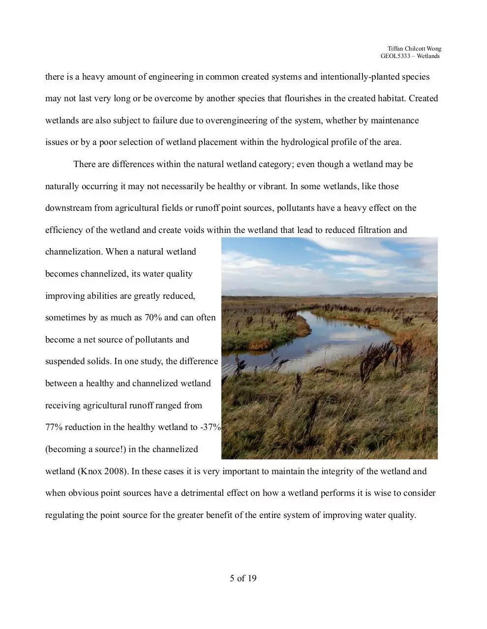Page 5 of 19, Wetlands WastewaterTreatment