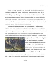 Page 2, Wetlands WastewaterTreatment