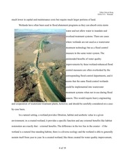 Page 4, Wetlands WastewaterTreatment
