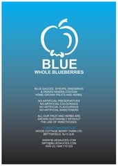 Page 4, BLUE Product Brochure 2010