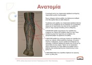 Page 3, FLEVOKENDISI