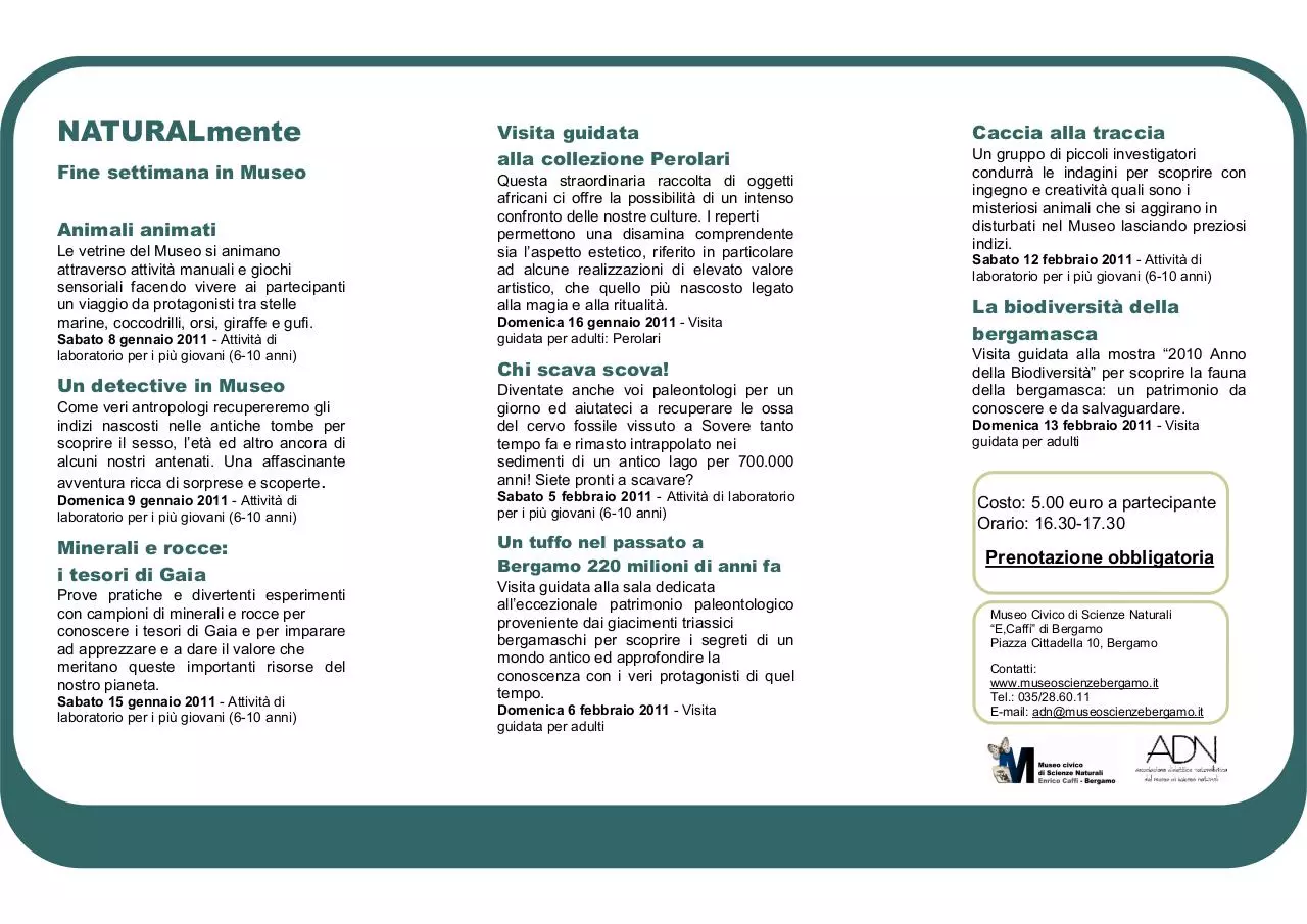 Page 2 of 3, Brochure Fine settimana in Museo