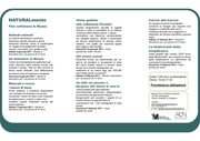 Page 2, Brochure Fine settimana in Museo