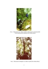 Page 5, tavole