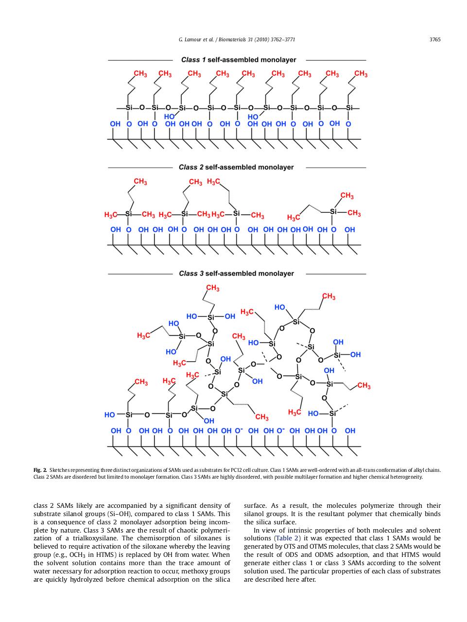 Preview of PDF document lamour-biomat-2010.pdf