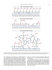 Page 4, Lamour Biomat 2010