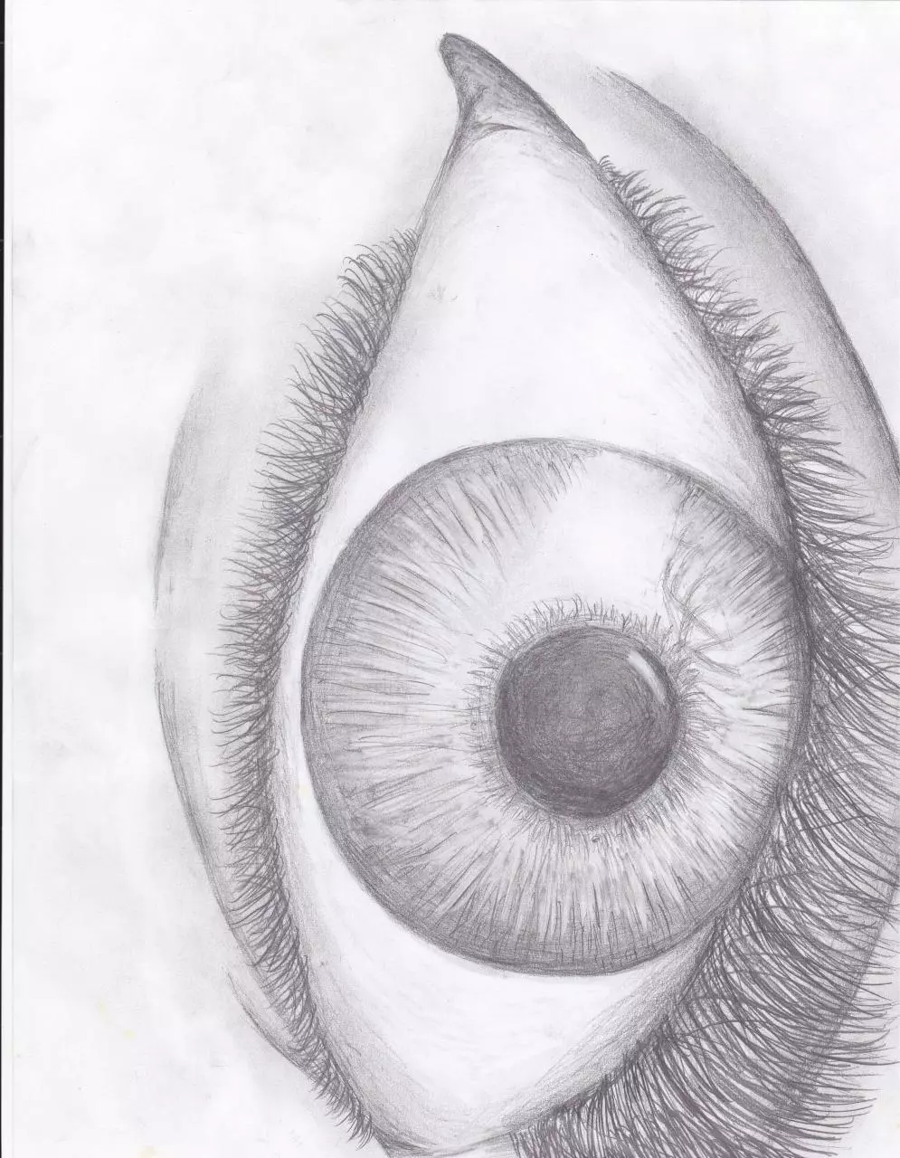 Page 1 of 1, Eye