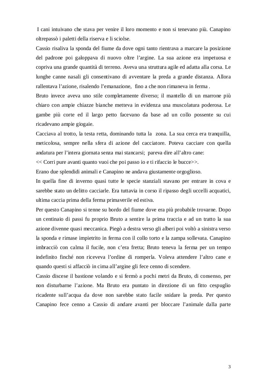 Page 3 of 13, l ultima caccia di canapino