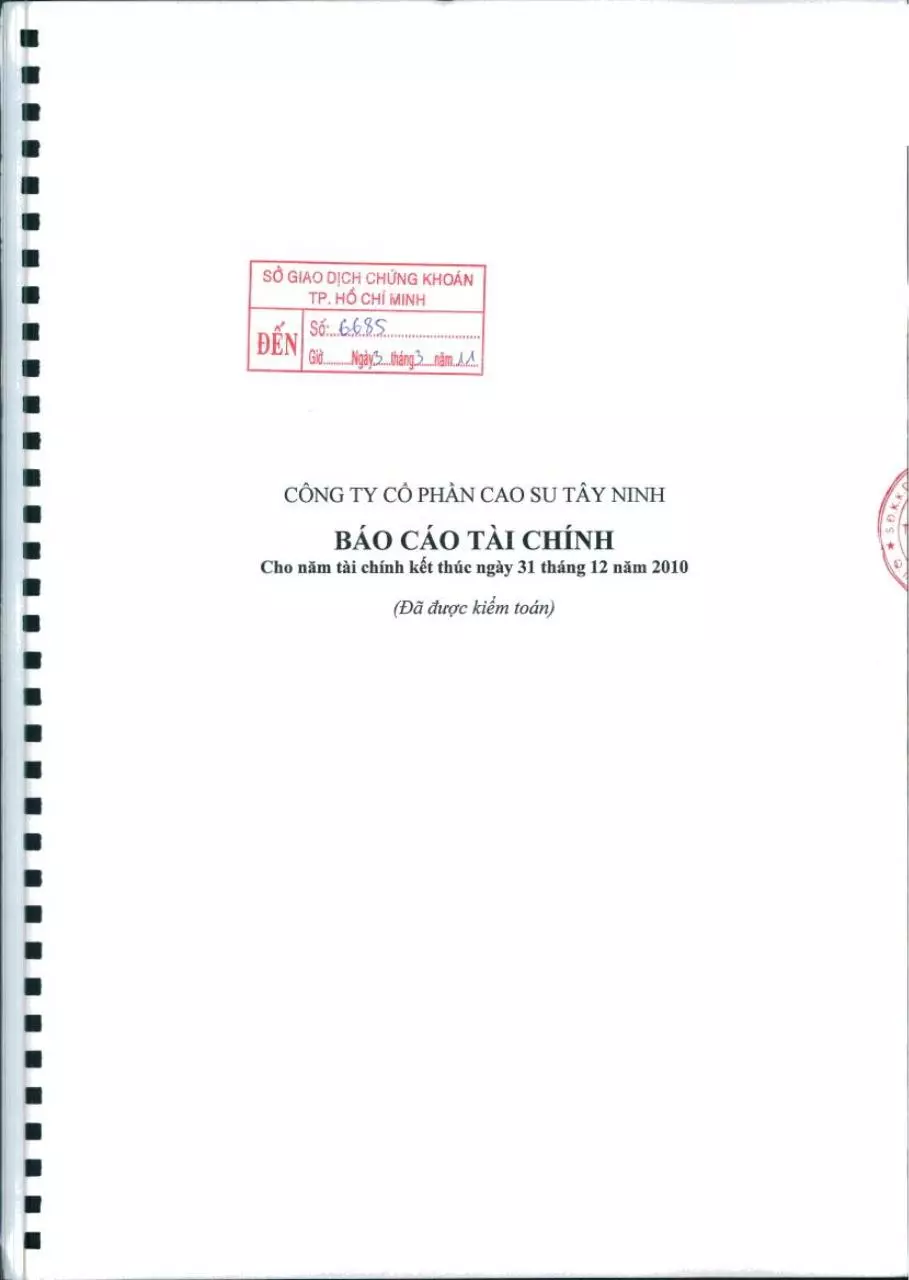 Page 1 of 35, 20110303 TRC BCTC kiem toan nam 2010