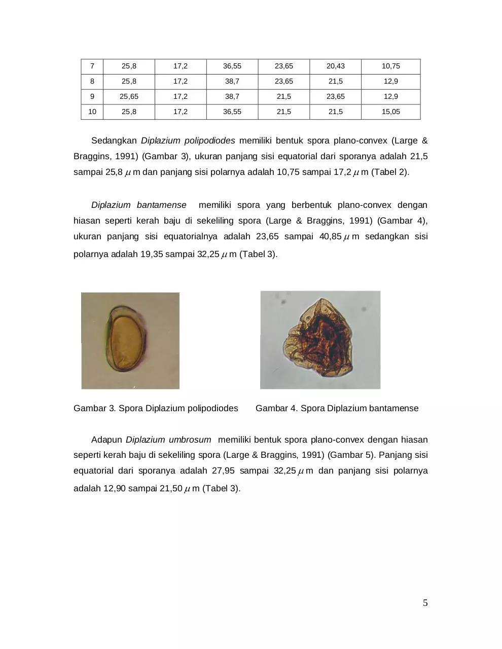Page 5 of 9, 18 Budi Prasetyo
