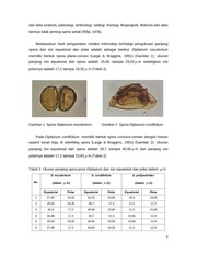 Page 4, 18 Budi Prasetyo