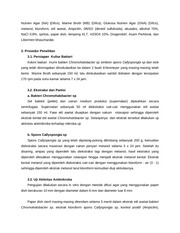 Page 3, 37 Nur Haedar dan Hesti Purdian