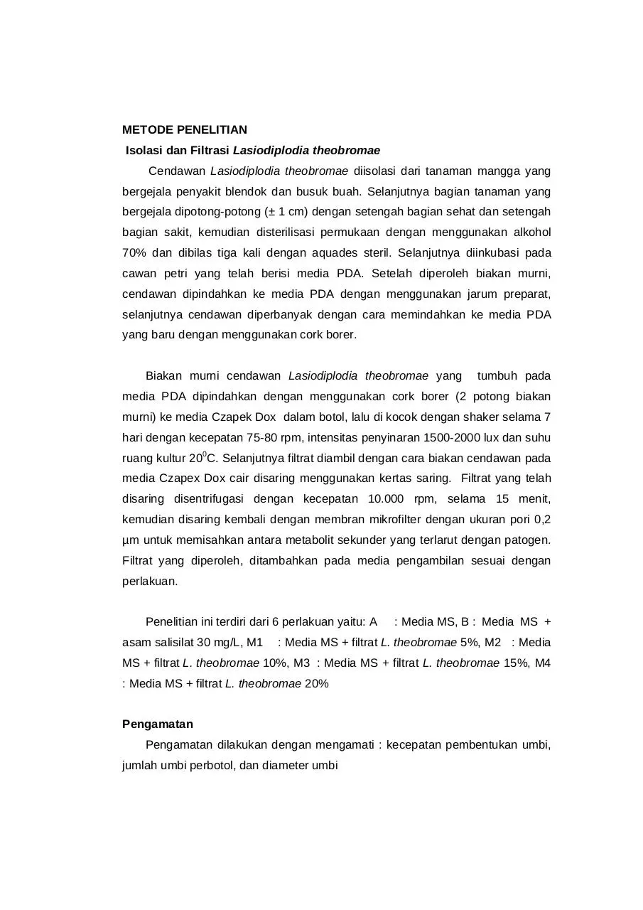 Page 4 of 11, 42 A. Masniawati