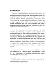 Page 4, 42 A. Masniawati