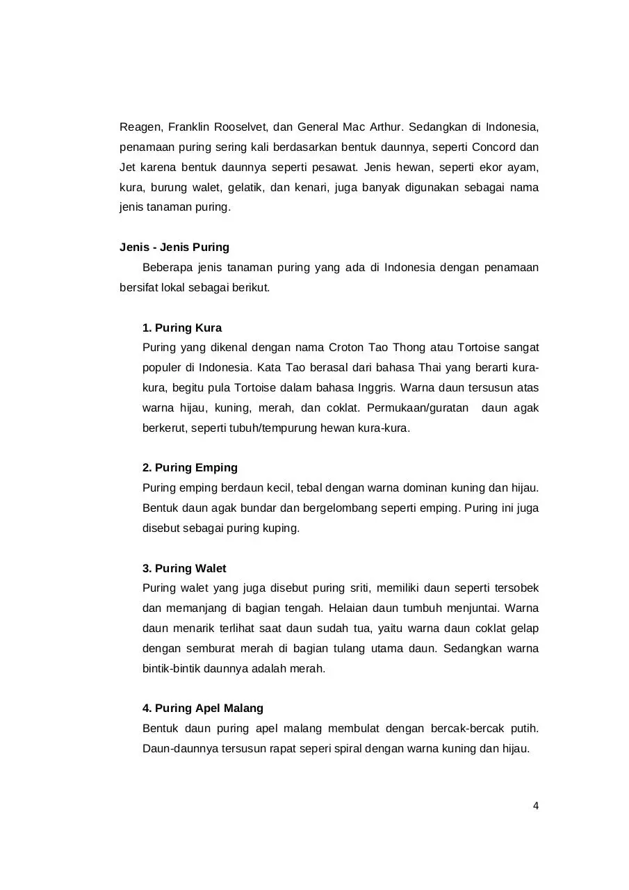 Page 4 of 8, 48 Susi Sulistiana