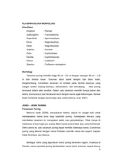 Page 3, 48 Susi Sulistiana