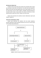 Page 3, 49 Syarifuddin Liong, Alfian Noor, Paulina Taba, Asmawati Abdullah