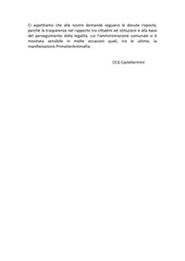 Page 3, Il comitato civico giovanile sindaco