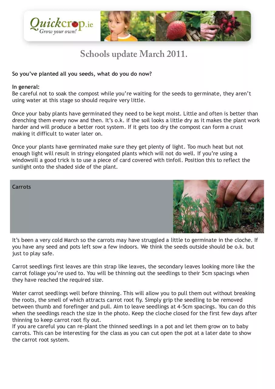Page 1 of 3, Quickcrop Schools Update