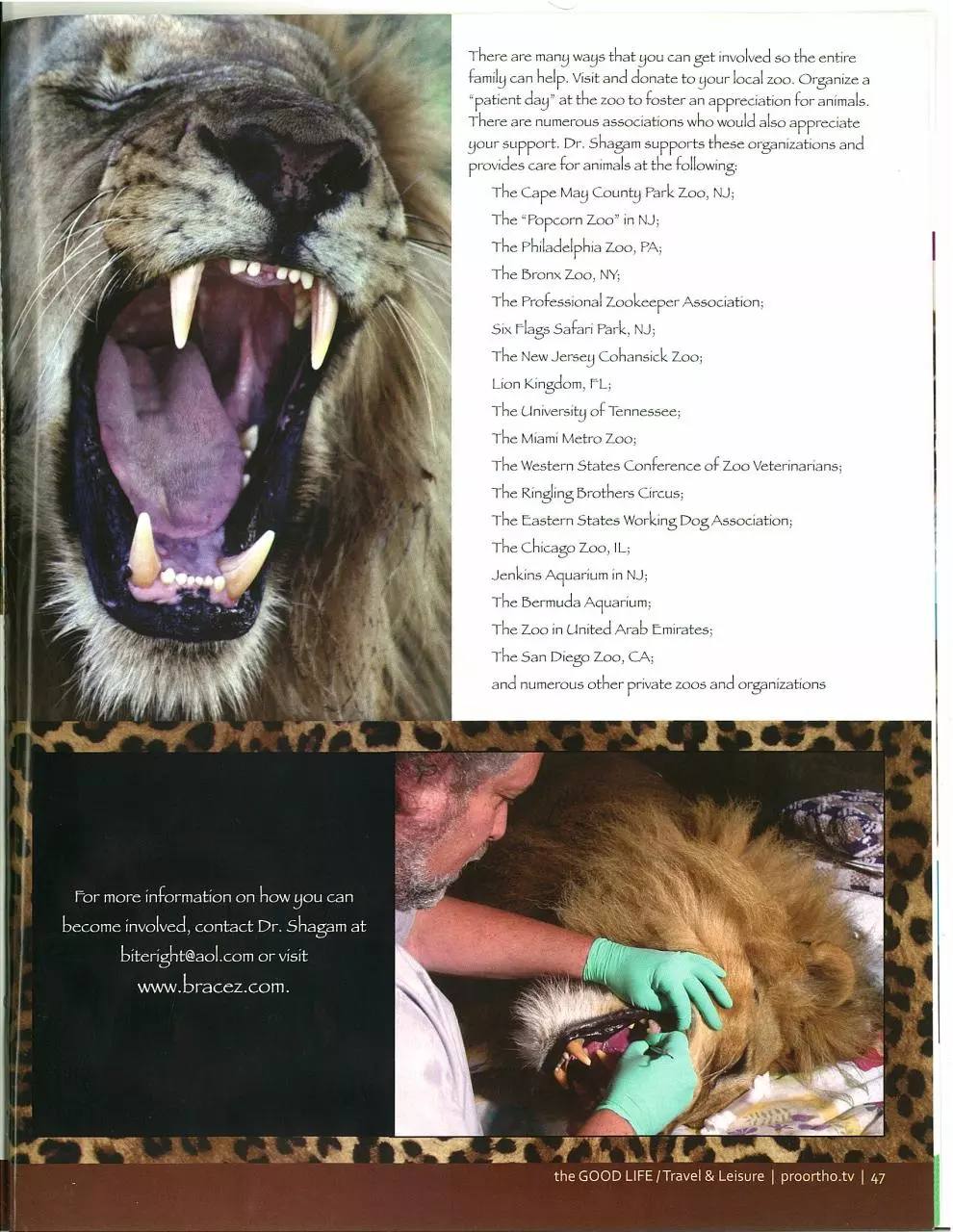 Page 2 of 2, TheProgressiveOrthodontist DrEdShagam2