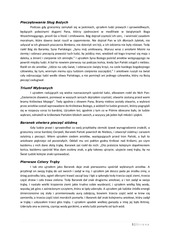 Page 4, Apokalipsa wg Marhiusa