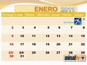 Page 1, CALENDARIO 2011 de Animal TV