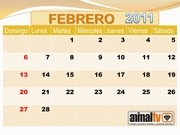 Page 2, CALENDARIO 2011 de Animal TV