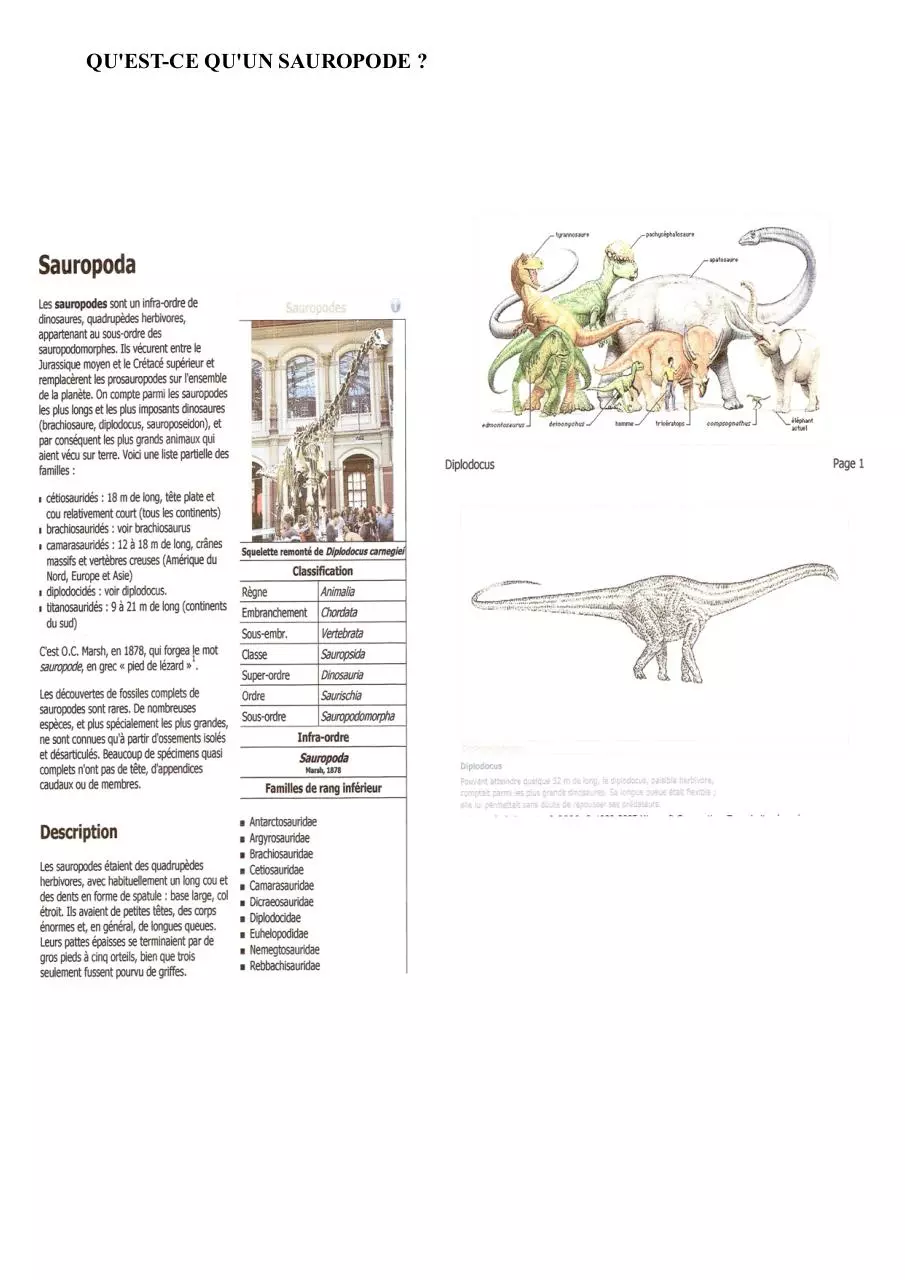 Page 5 of 6, Loulle optimisé