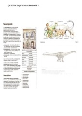 Page 5, Loulle optimisé