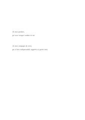 Page 2, TesiLucaVicenzotti
