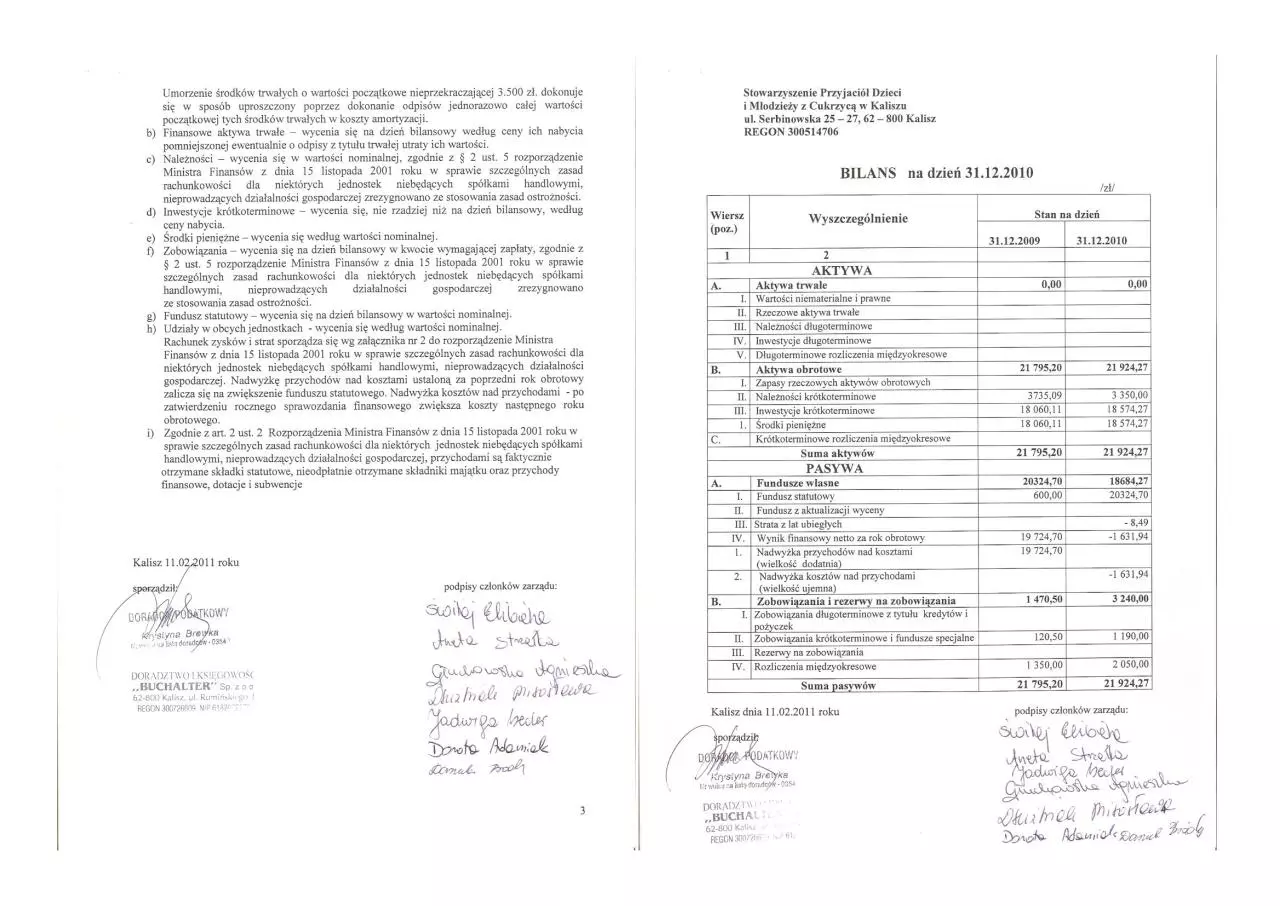 Page 2 of 5, sprawozdanie finansowe 2010
