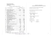 Page 3, sprawozdanie finansowe 2010