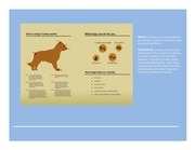 Page 3, PORTFOLIOfinal