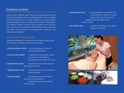 Page 4, Medical Spa and Wellnes