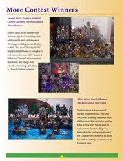 Page 3, Lemax NL Spring 2011