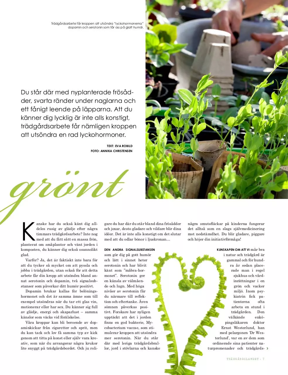 Page 2 of 3, gardentherapy