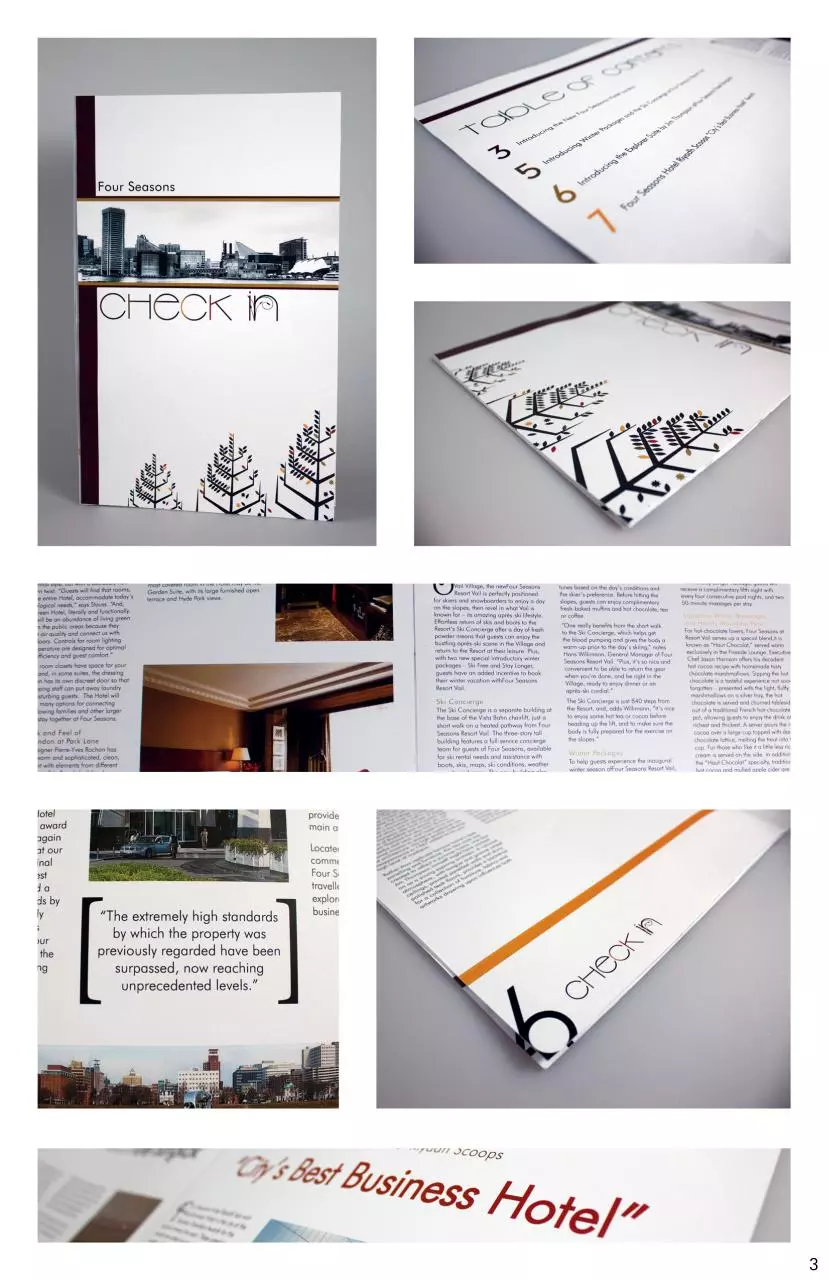 Page 3 of 15, Portfolio Hollis