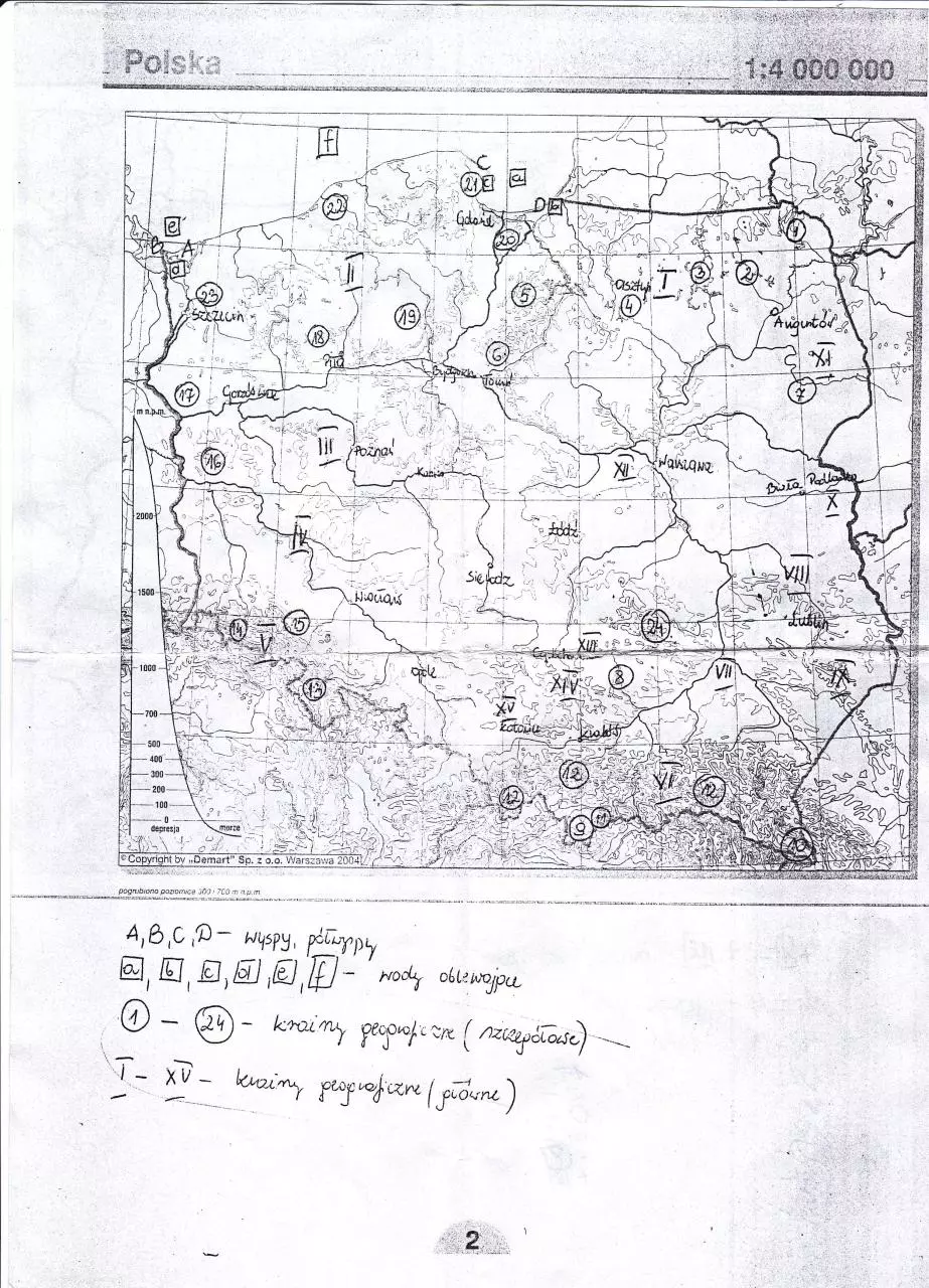Page 1 of 1, IMG 0001