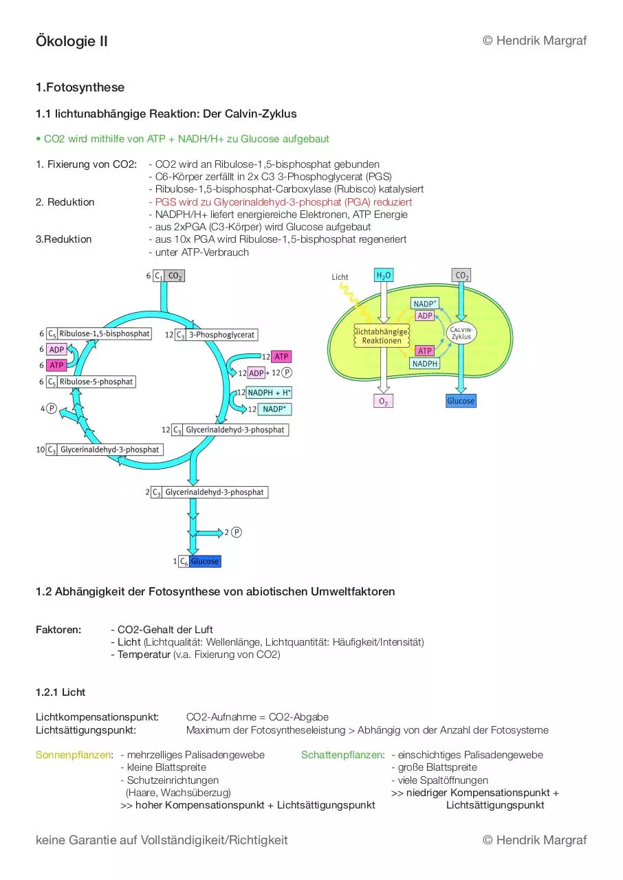 Page 1 of 1, Ökologie Arbeit II