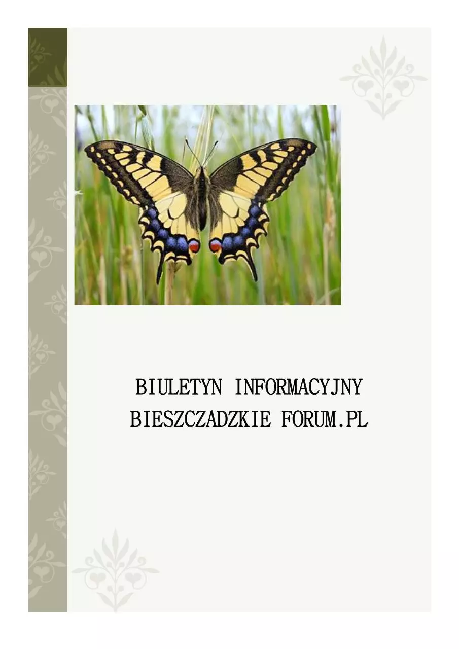 Page 1 of 7, biuletyn