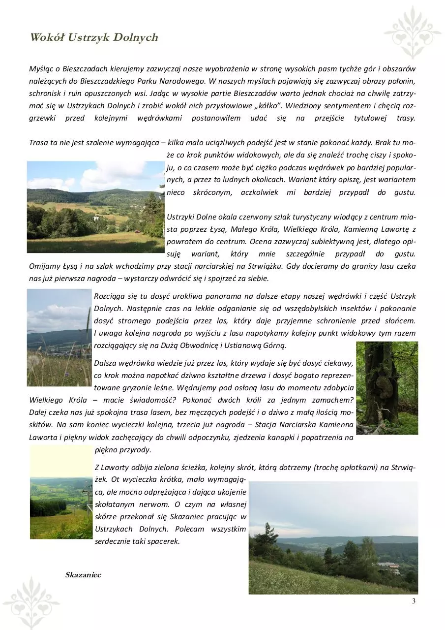 Page 3 of 7, biuletyn