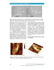 Page 3, Lamour GJPC 2011