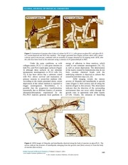 Page 4, Lamour GJPC 2011