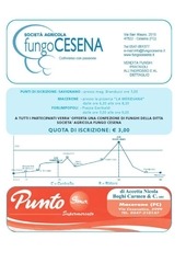 Page 3, MF 5 Cerchi 2011