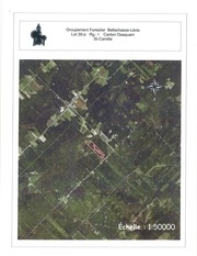 Page 3, St Camille lot 29p