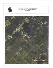 Page 2, St Camille lot 29p