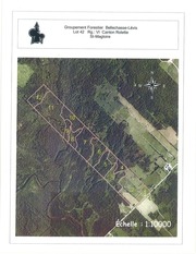 Page 4, St Magloire lot 42